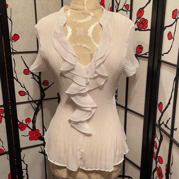 S.L.B. Sheer Short Sleeve Blouse - Picture 1 of 7